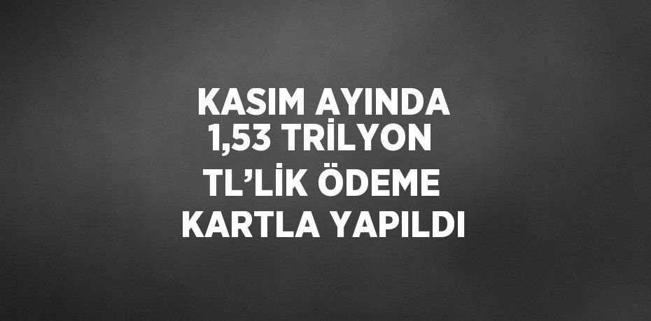 KASIM AYINDA 1,53 TRİLYON TL’LİK ÖDEME KARTLA YAPILDI