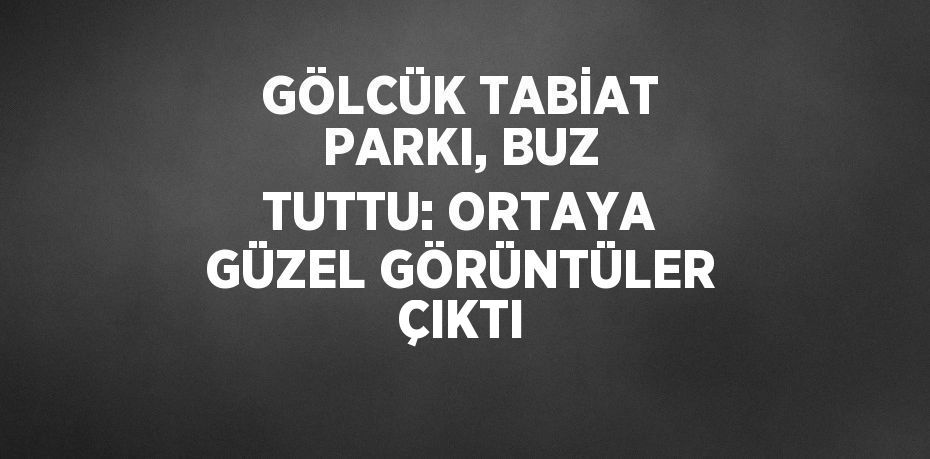 GÖLCÜK TABİAT PARKI, BUZ TUTTU: ORTAYA GÜZEL GÖRÜNTÜLER ÇIKTI