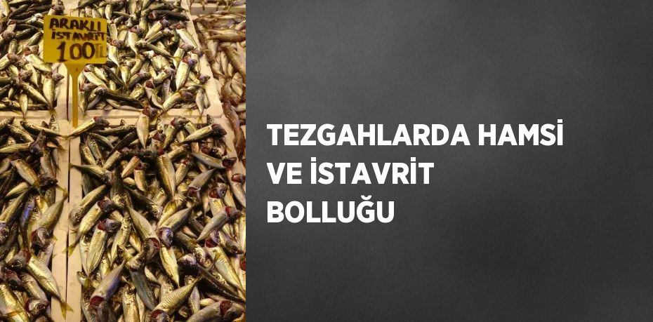 TEZGAHLARDA HAMSİ VE İSTAVRİT BOLLUĞU