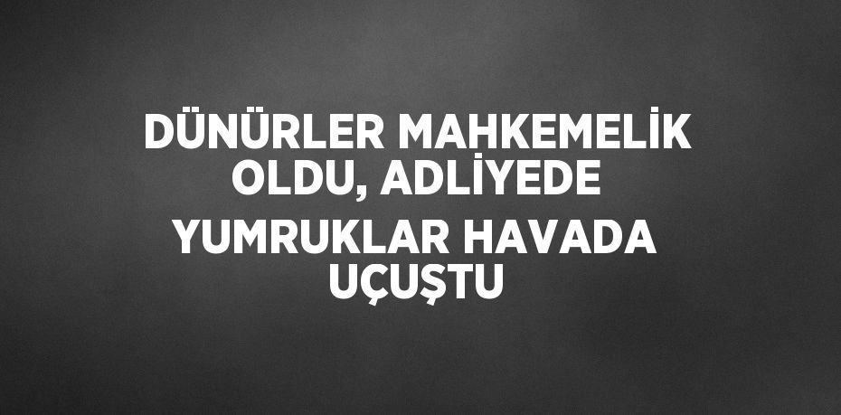 DÜNÜRLER MAHKEMELİK OLDU, ADLİYEDE YUMRUKLAR HAVADA UÇUŞTU