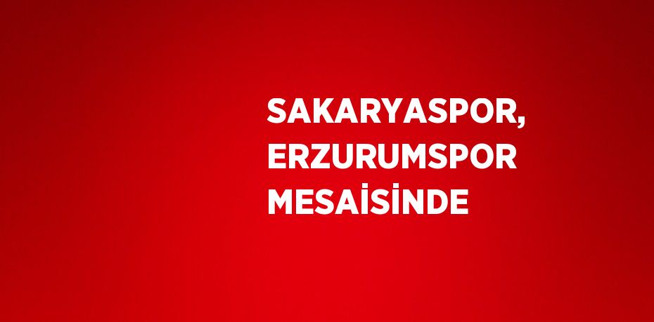 SAKARYASPOR, ERZURUMSPOR MESAİSİNDE