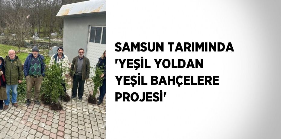 SAMSUN TARIMINDA 'YEŞİL YOLDAN YEŞİL BAHÇELERE PROJESİ'