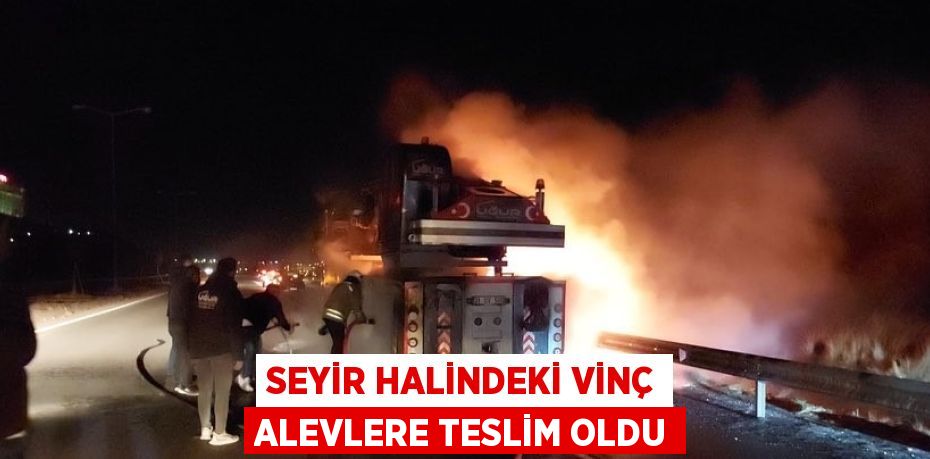 SEYİR HALİNDEKİ VİNÇ ALEVLERE TESLİM OLDU