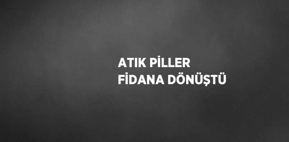 ATIK PİLLER FİDANA DÖNÜŞTÜ