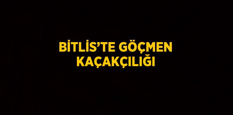 BİTLİS’TE GÖÇMEN KAÇAKÇILIĞI