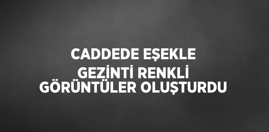 CADDEDE EŞEKLE GEZİNTİ RENKLİ GÖRÜNTÜLER OLUŞTURDU