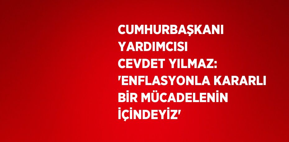 CUMHURBAŞKANI YARDIMCISI CEVDET YILMAZ: 'ENFLASYONLA KARARLI BİR MÜCADELENİN İÇİNDEYİZ'