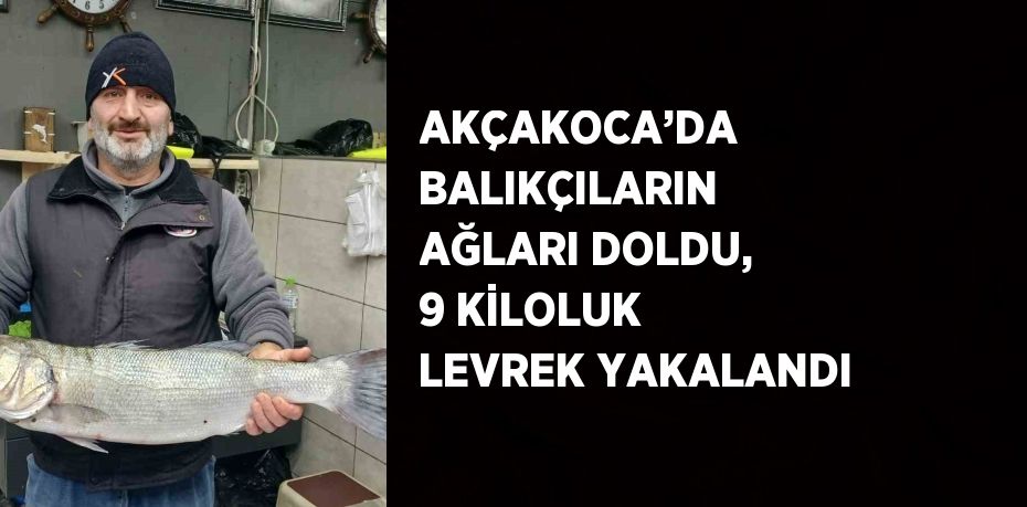 AKÇAKOCA’DA BALIKÇILARIN AĞLARI DOLDU, 9 KİLOLUK LEVREK YAKALANDI