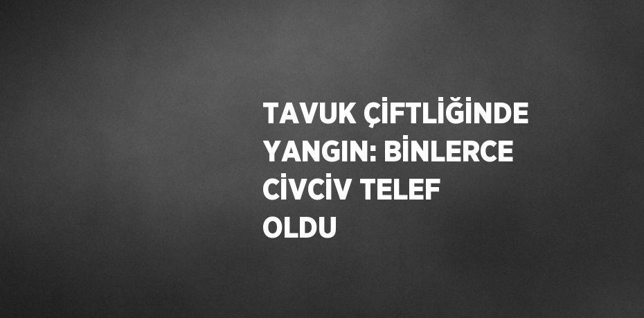 TAVUK ÇİFTLİĞİNDE YANGIN: BİNLERCE CİVCİV TELEF OLDU