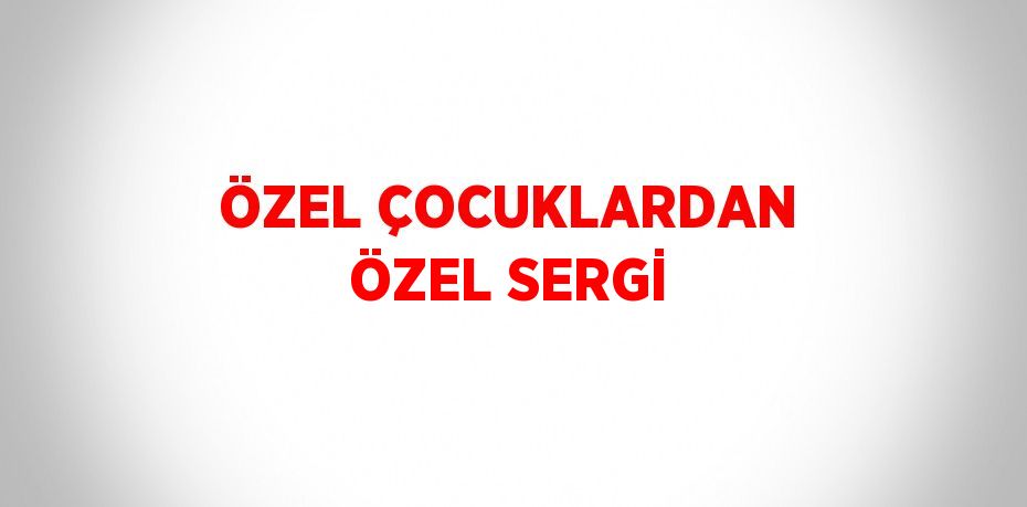 ÖZEL ÇOCUKLARDAN ÖZEL SERGİ