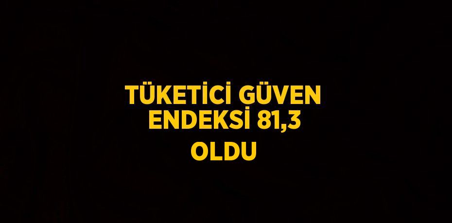 TÜKETİCİ GÜVEN ENDEKSİ 81,3 OLDU