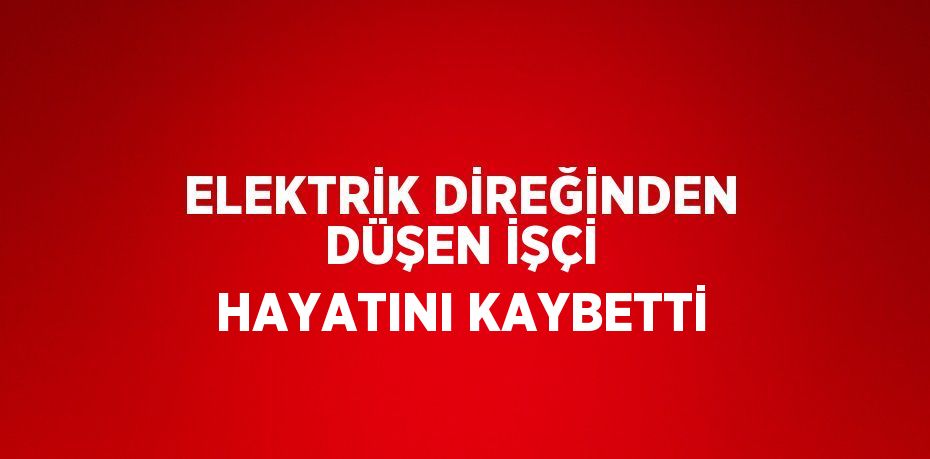 ELEKTRİK DİREĞİNDEN DÜŞEN İŞÇİ HAYATINI KAYBETTİ