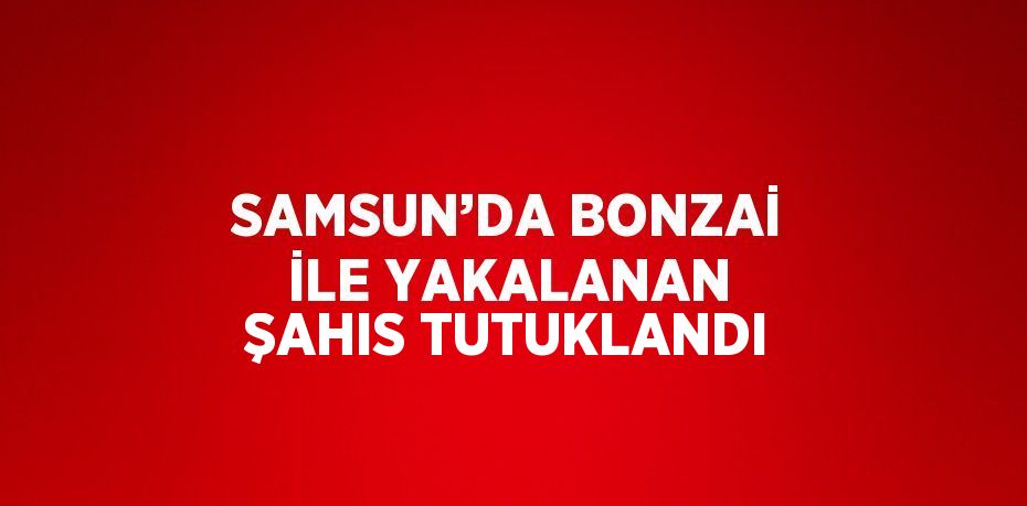 SAMSUN’DA BONZAİ İLE YAKALANAN ŞAHIS TUTUKLANDI