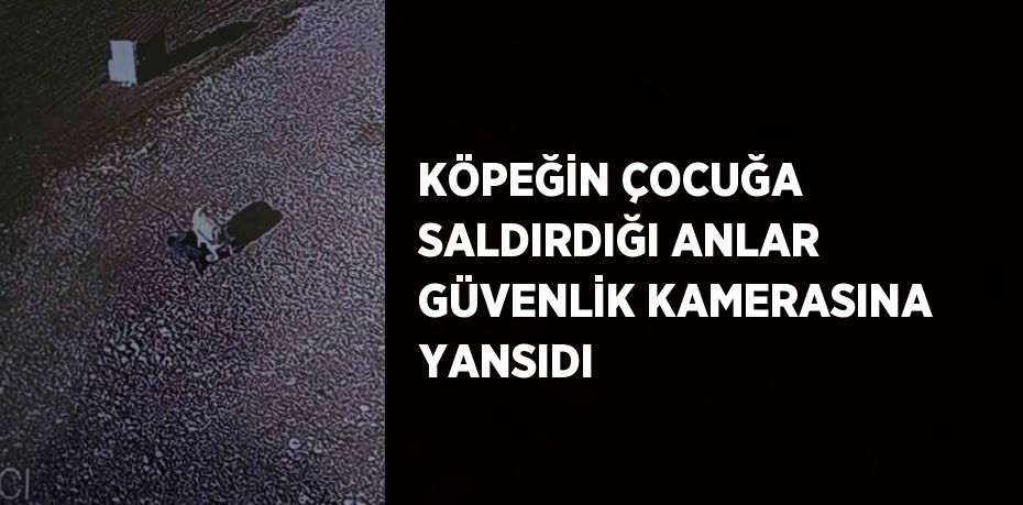 KÖPEĞİN ÇOCUĞA SALDIRDIĞI ANLAR GÜVENLİK KAMERASINA YANSIDI