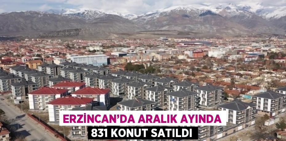 ERZİNCAN’DA ARALIK AYINDA 831 KONUT SATILDI