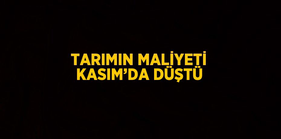 TARIMIN MALİYETİ KASIM’DA DÜŞTÜ