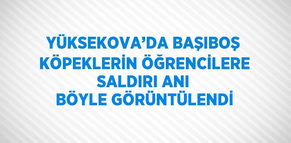 YÜKSEKOVA’DA BAŞIBOŞ KÖPEKLERİN ÖĞRENCİLERE SALDIRI ANI BÖYLE GÖRÜNTÜLENDİ