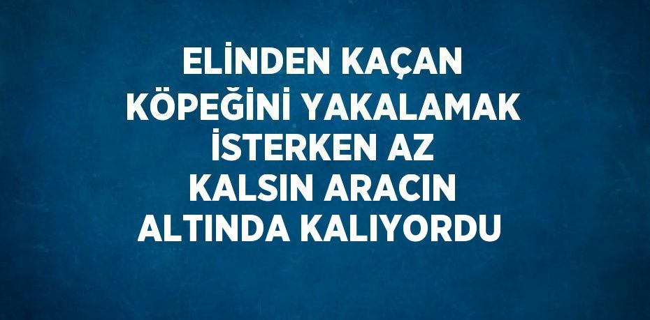 ELİNDEN KAÇAN KÖPEĞİNİ YAKALAMAK İSTERKEN AZ KALSIN ARACIN ALTINDA KALIYORDU