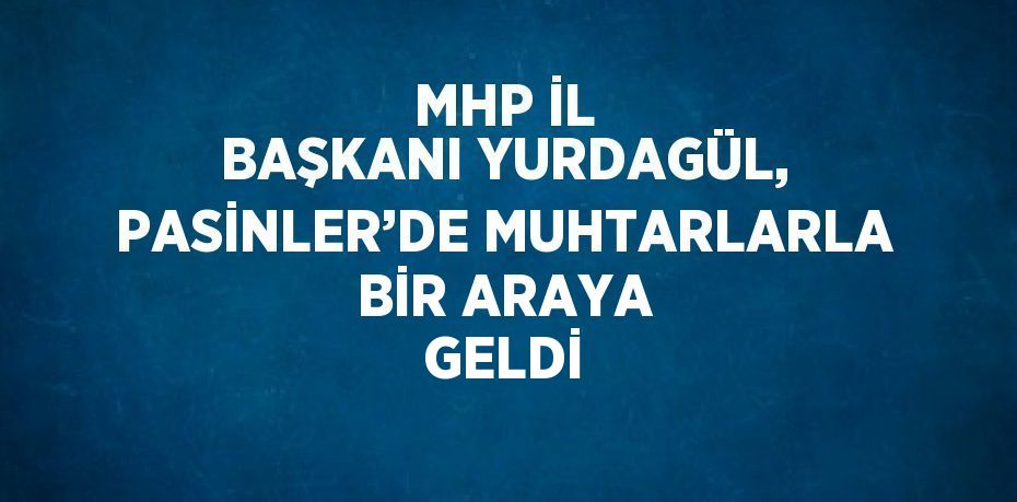 MHP İL BAŞKANI YURDAGÜL, PASİNLER’DE MUHTARLARLA BİR ARAYA GELDİ