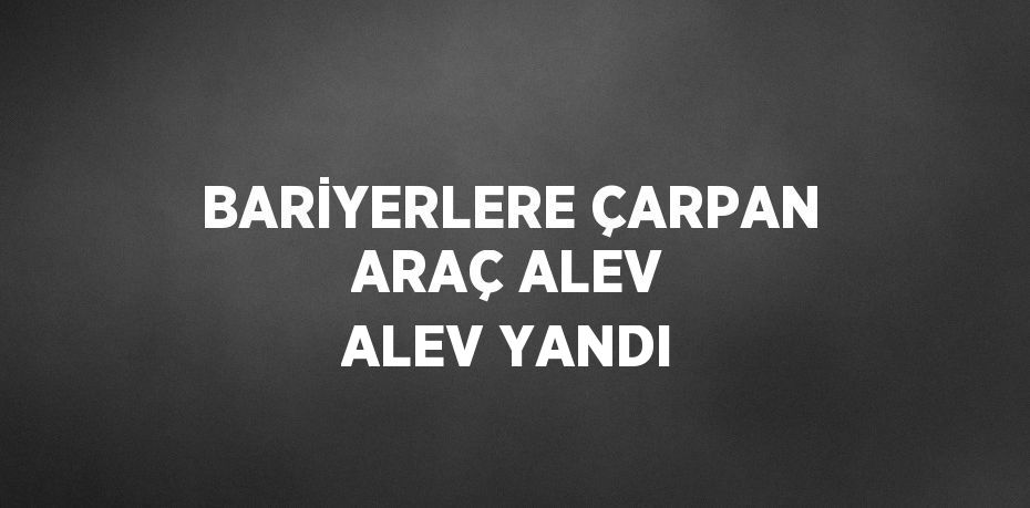 BARİYERLERE ÇARPAN ARAÇ ALEV ALEV YANDI