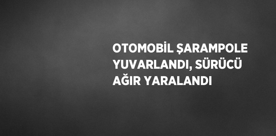 OTOMOBİL ŞARAMPOLE YUVARLANDI, SÜRÜCÜ AĞIR YARALANDI