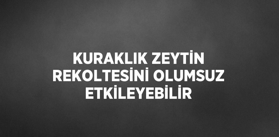 KURAKLIK ZEYTİN REKOLTESİNİ OLUMSUZ ETKİLEYEBİLİR