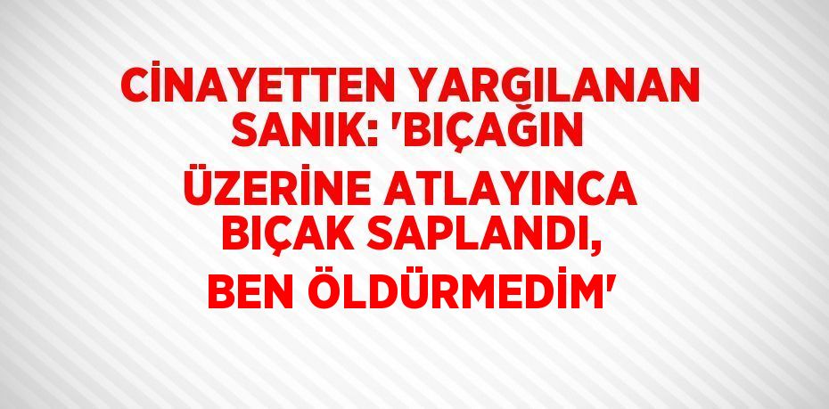 CİNAYETTEN YARGILANAN SANIK: 'BIÇAĞIN ÜZERİNE ATLAYINCA BIÇAK SAPLANDI, BEN ÖLDÜRMEDİM'