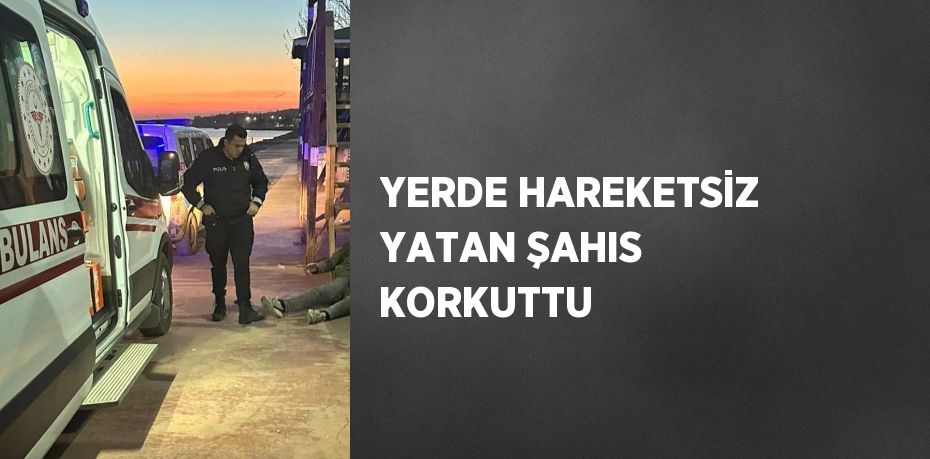 YERDE HAREKETSİZ YATAN ŞAHIS KORKUTTU