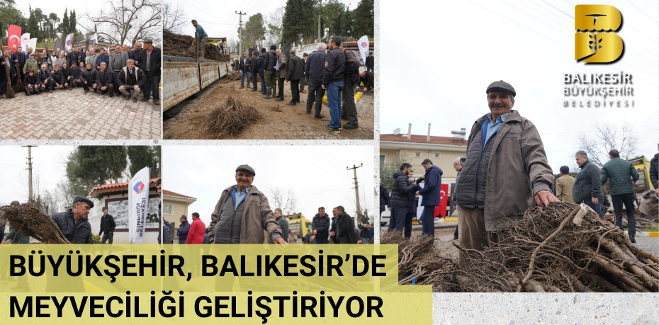 BÜYÜKŞEHİR, BALIKESİR'DE MEYVECİLİĞİ GELİŞTİRİYOR