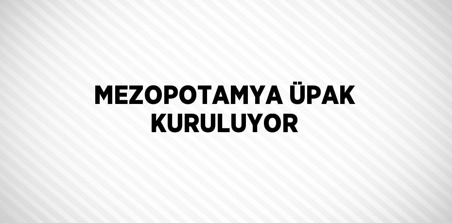 MEZOPOTAMYA ÜPAK KURULUYOR