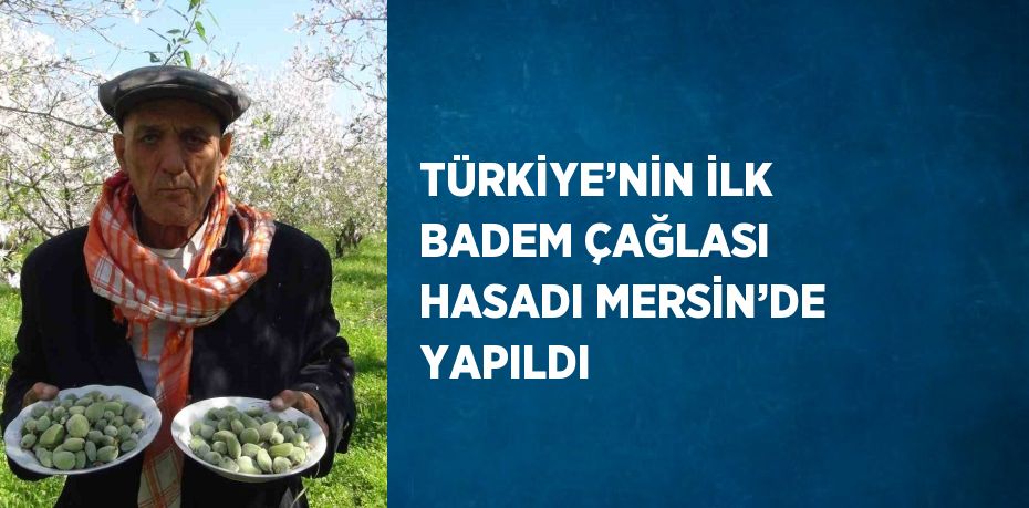 TÜRKİYE’NİN İLK BADEM ÇAĞLASI HASADI MERSİN’DE YAPILDI