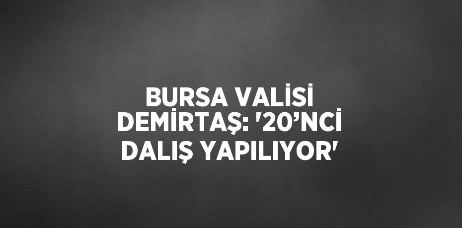 BURSA VALİSİ DEMİRTAŞ: '20’NCİ DALIŞ YAPILIYOR'