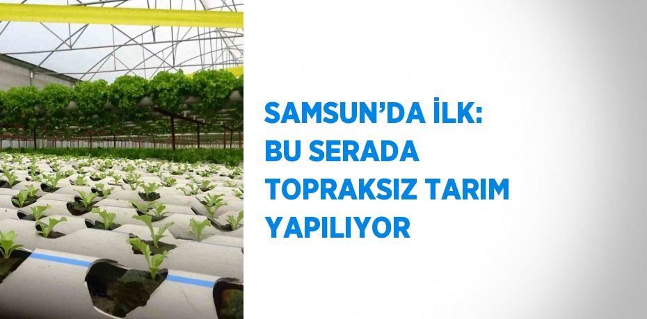 SAMSUN’DA İLK: BU SERADA TOPRAKSIZ TARIM YAPILIYOR