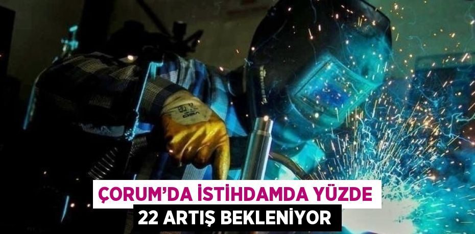 ÇORUM’DA İSTİHDAMDA YÜZDE 22 ARTIŞ BEKLENİYOR