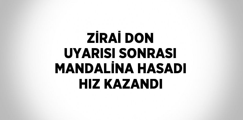 ZİRAİ DON UYARISI SONRASI MANDALİNA HASADI HIZ KAZANDI