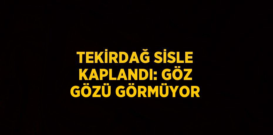 TEKİRDAĞ SİSLE KAPLANDI: GÖZ GÖZÜ GÖRMÜYOR