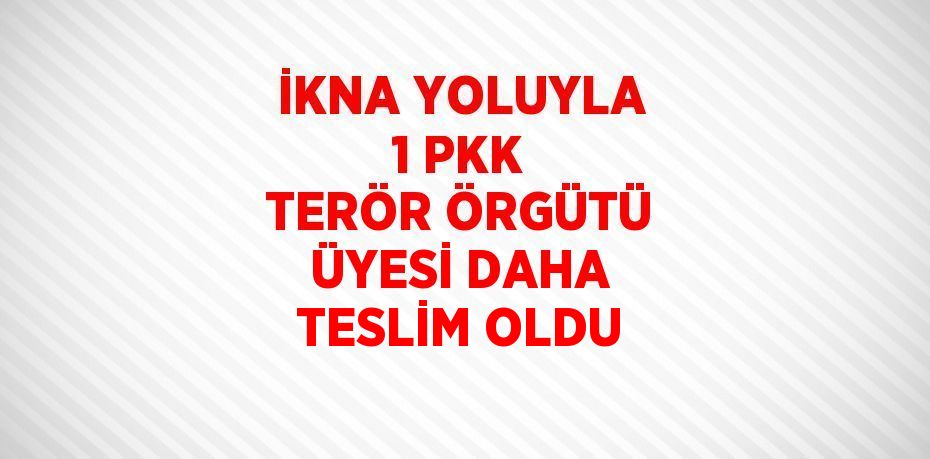 İKNA YOLUYLA 1 PKK TERÖR ÖRGÜTÜ ÜYESİ DAHA TESLİM OLDU