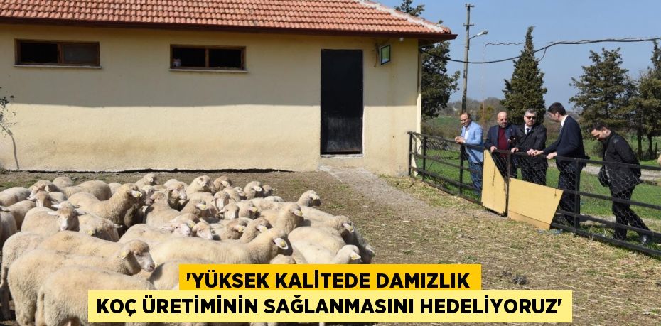 “YÜKSEK KALİTEDE DAMIZLIK KOÇ ÜRETİMİNİN SAĞLANMASINI HEDELİYORUZ”