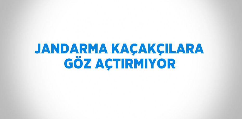 JANDARMA KAÇAKÇILARA GÖZ AÇTIRMIYOR