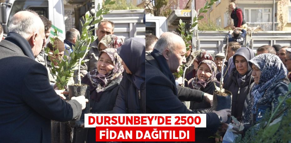 DURSUNBEY’DE 2500 FİDAN DAĞITILDI