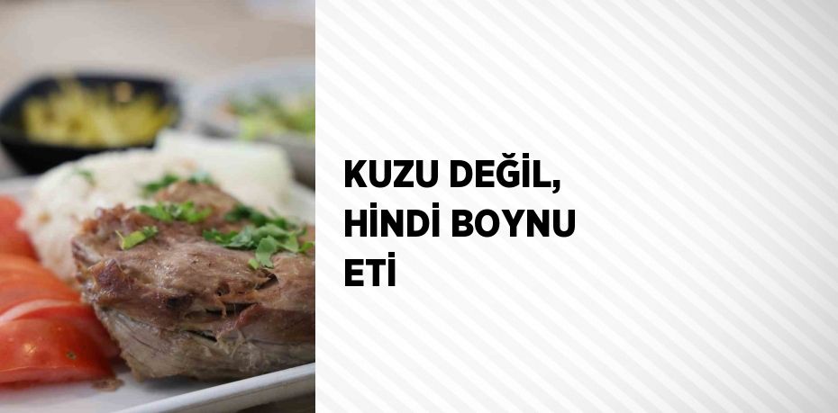 KUZU DEĞİL, HİNDİ BOYNU ETİ