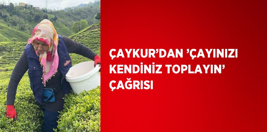 ÇAYKUR’DAN ’ÇAYINIZI KENDİNİZ TOPLAYIN’ ÇAĞRISI