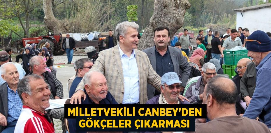 MİLLETVEKİLİ CANBEY’DEN GÖKÇELER ÇIKARMASI