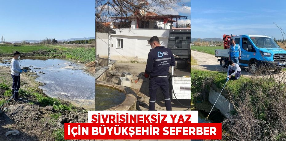 SİVRİSİNEKSİZ YAZ İÇİN BÜYÜKŞEHİR SEFERBER