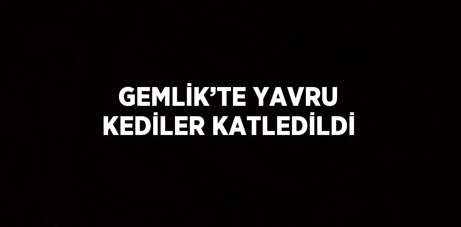 GEMLİK’TE YAVRU KEDİLER KATLEDİLDİ