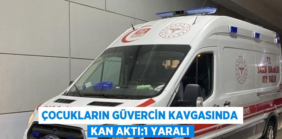 ÇOCUKLARIN GÜVERCİN KAVGASINDA KAN AKTI:1 YARALI