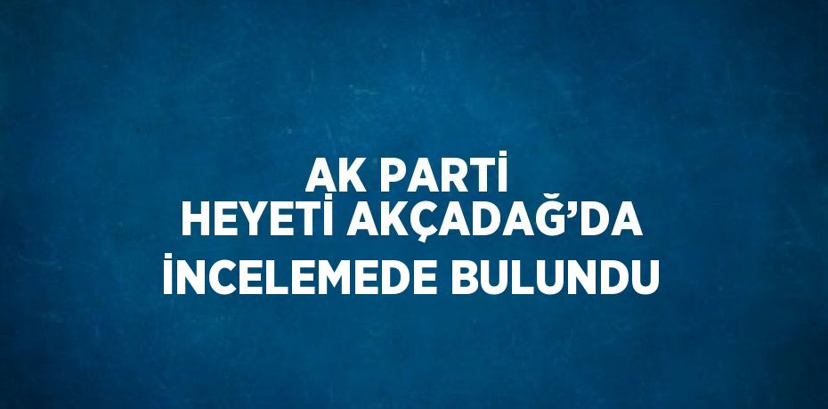 AK PARTİ HEYETİ AKÇADAĞ’DA İNCELEMEDE BULUNDU