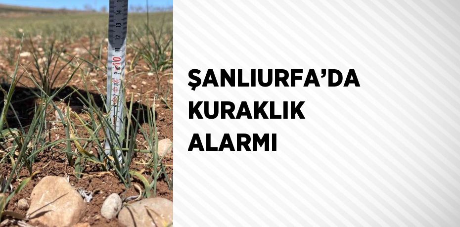 ŞANLIURFA’DA KURAKLIK ALARMI