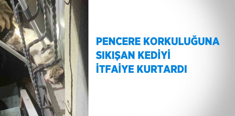 PENCERE KORKULUĞUNA SIKIŞAN KEDİYİ İTFAİYE KURTARDI