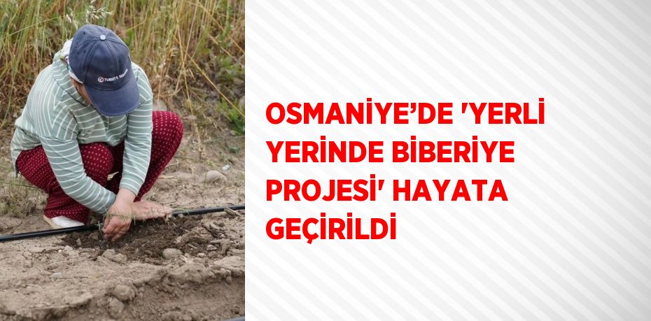 OSMANİYE’DE 'YERLİ YERİNDE BİBERİYE PROJESİ' HAYATA GEÇİRİLDİ